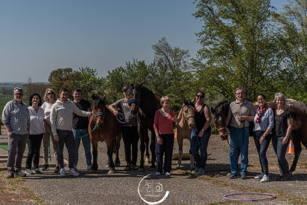 essentiel leadership: mise en pratique du leadership avec les chevaux